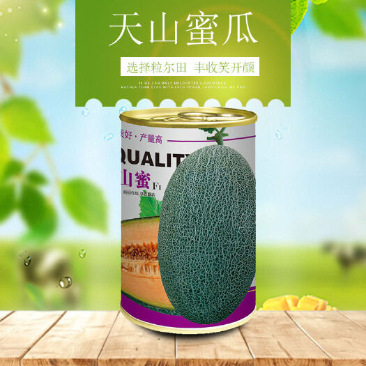 哈密瓜种子大果网纹甜瓜种籽粒尔田天山甜瓜蜜春秋大棚用种