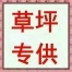 紫金县精品大叶油草