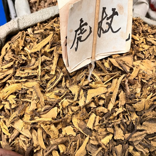成都虎杖