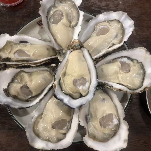 阳西县广东三倍体