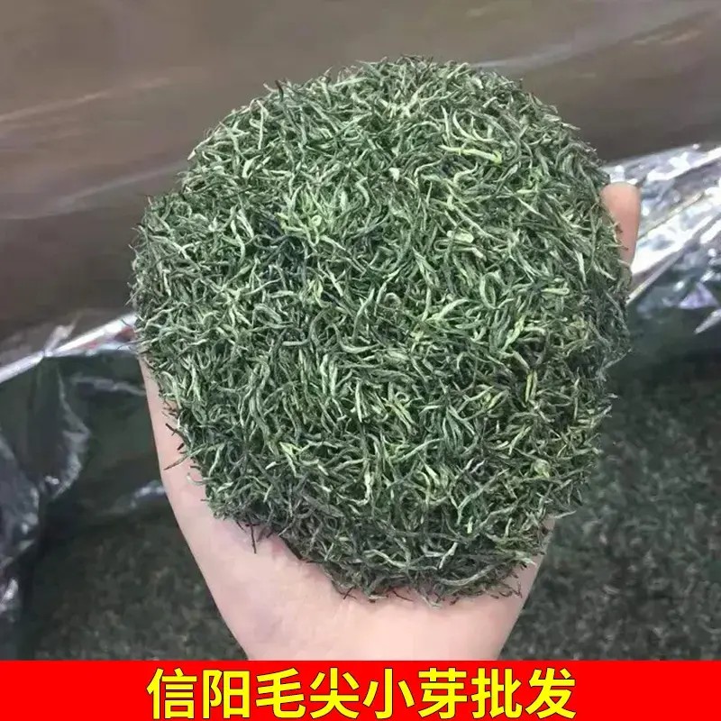 毛尖茶浓香型绿茶新茶明前头采手工炒青罐装茶叶散装批发