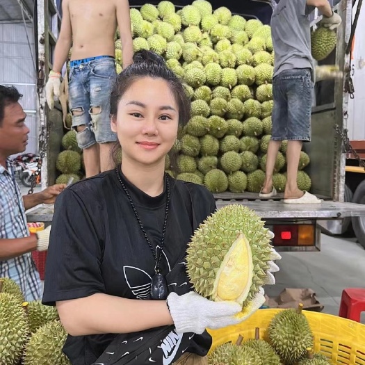 凭祥市越南新鲜榴莲干尧