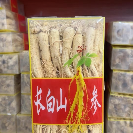 湖州长白山人参