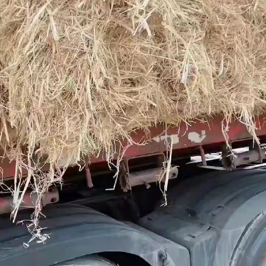 天津稻草