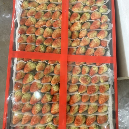 会泽县商用草莓板装货，产地直销，价格实惠。冷链发货草莓自由