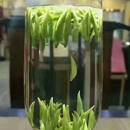 遂川县绿茶  贡品级，500克。