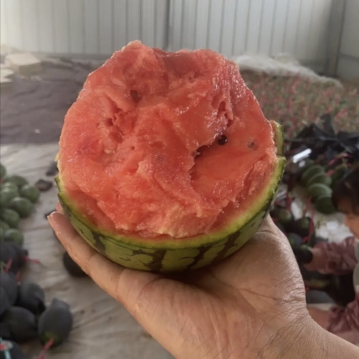 潍坊新货吊瓜2k大量供应