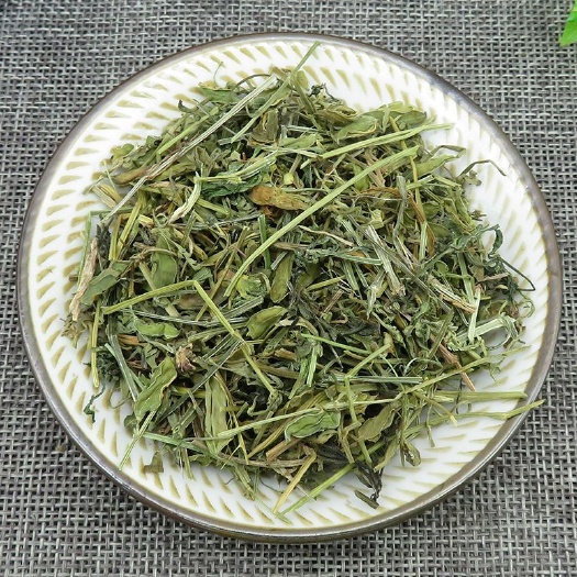 苦地丁，河北地产