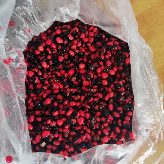 恩施市竹节参种子
