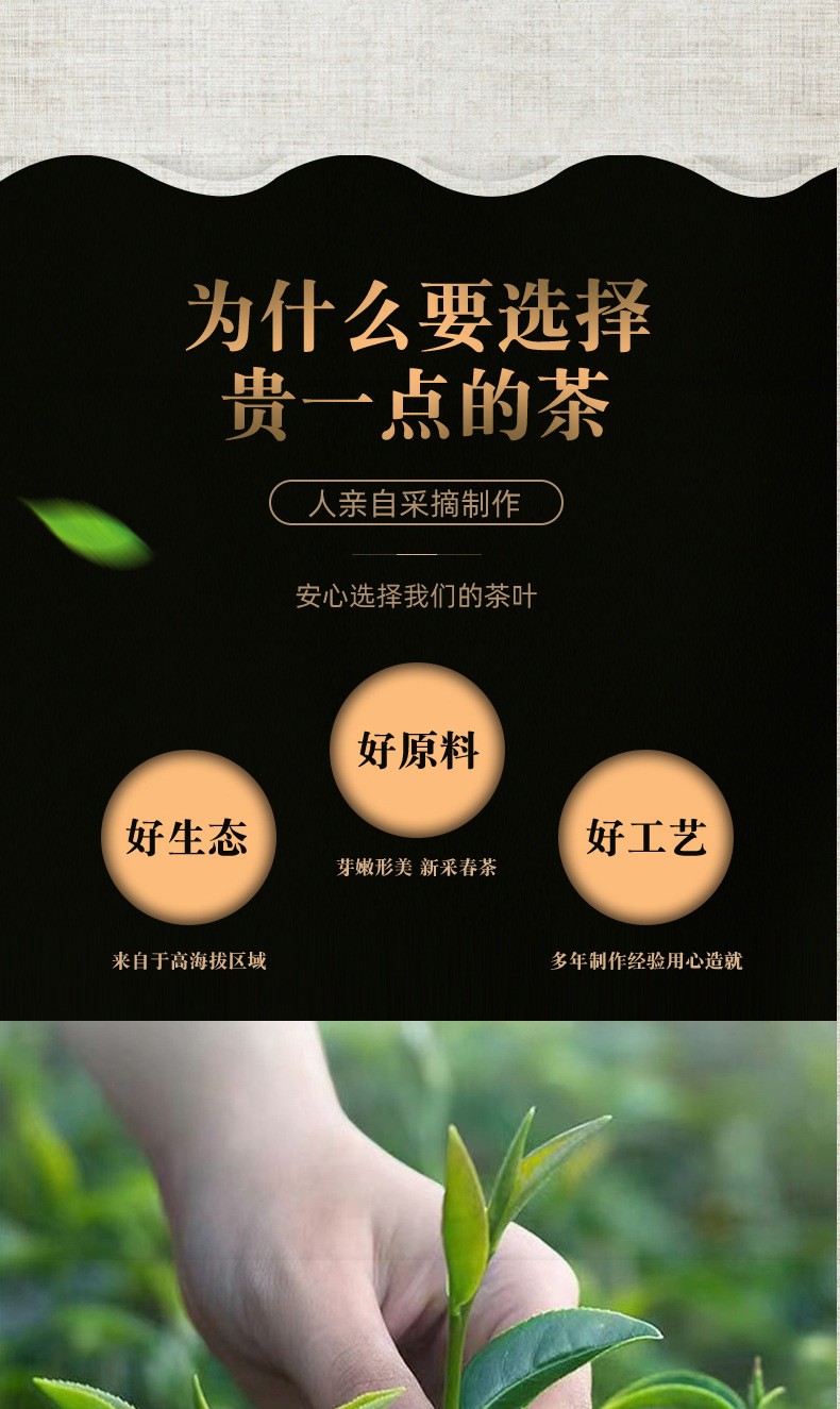 毛尖茶浓香型绿茶新茶明前头采手工炒青罐装茶叶散装批发