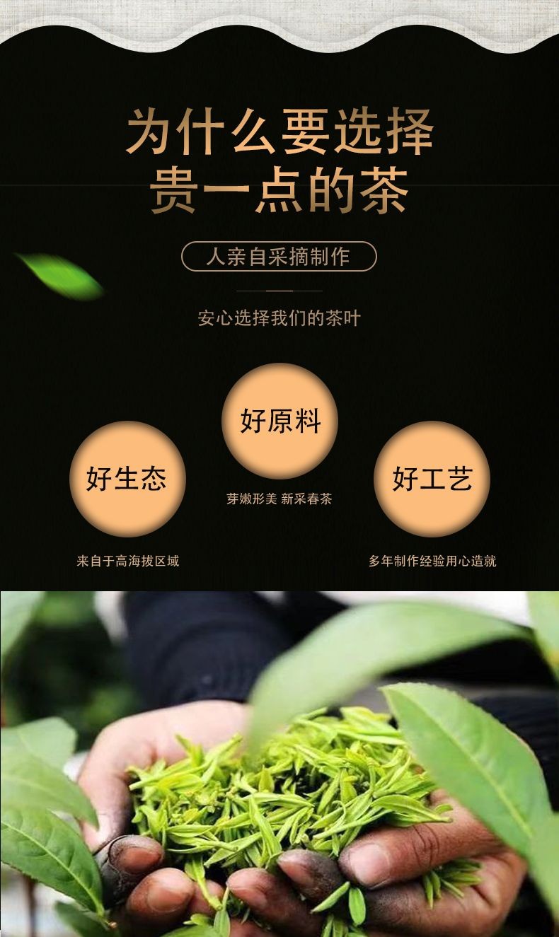 毛尖茶信阳毛尖明前茶沫芽尖断芽绿茶500g原产信阳绿茶