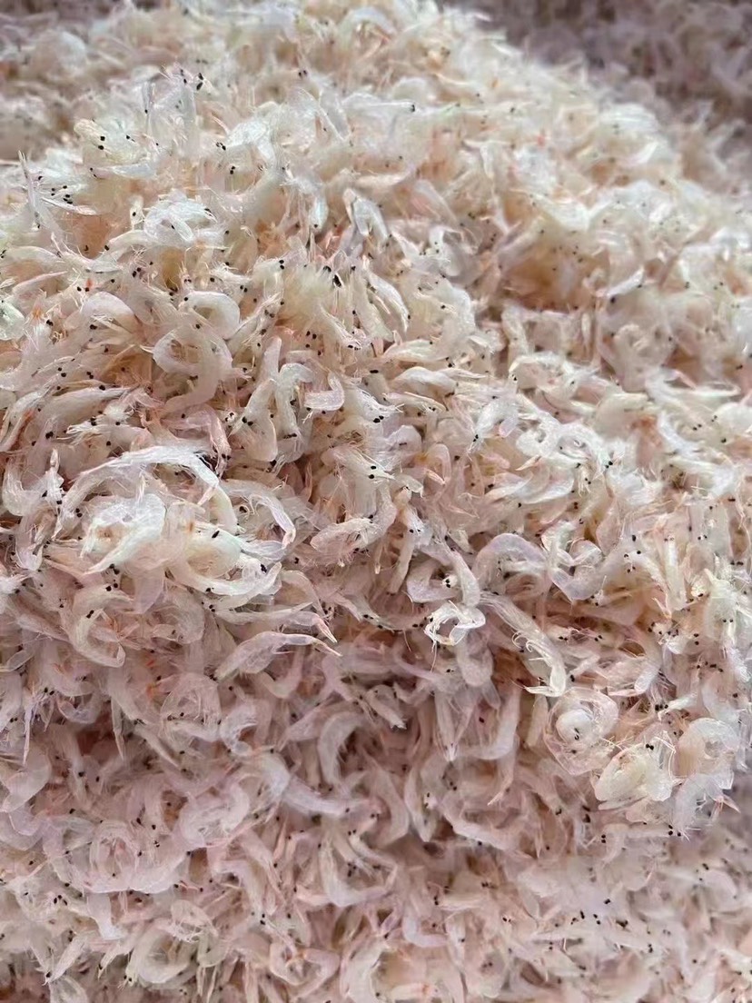 滨州电商专用虾皮