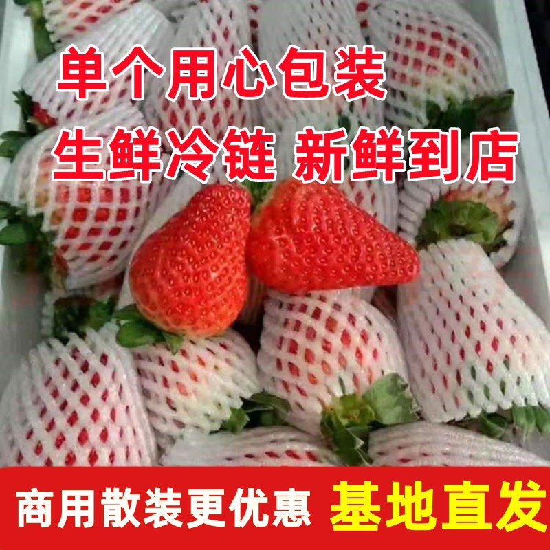 会泽县【通货】云南夏季商用草莓，果干，果酱，茶饮，糖葫芦可用