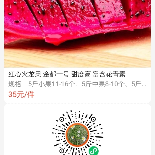 成都红心火龙果