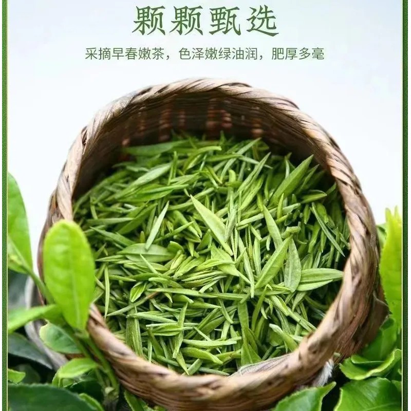 毛尖茶信阳毛尖明前茶沫芽尖断芽绿茶500g原产信阳绿茶