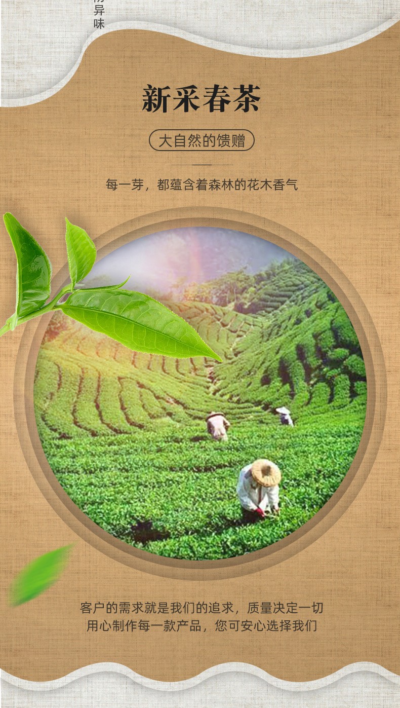 毛尖茶浓香型绿茶新茶明前头采手工炒青罐装茶叶散装批发