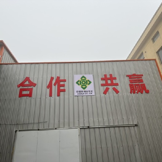 安丘市专业储存大姜 土豆 洋葱 冷库出租代收、代存、代卖、配资、