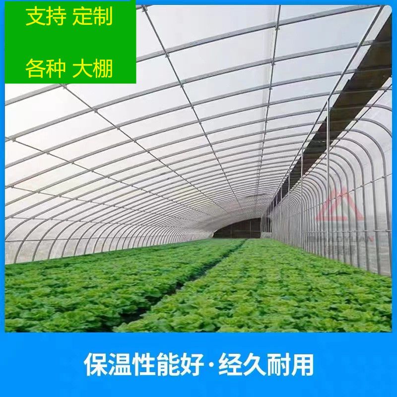 蔬菜种植大棚 椭圆管钢管棚 温室建设 棉被配件齐全