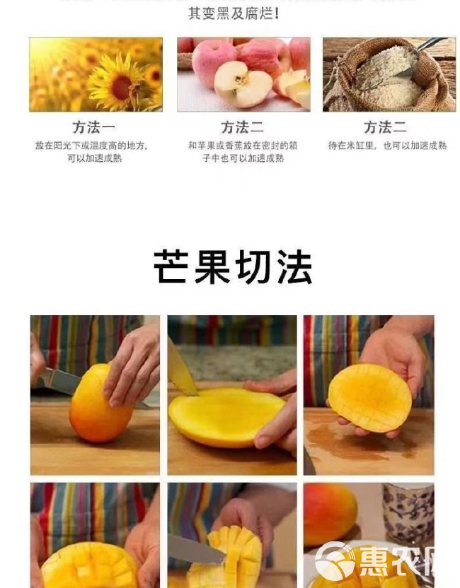 贵妃芒果1/10斤批发新鲜水果整箱应当季热带树上熟红金龙整箱