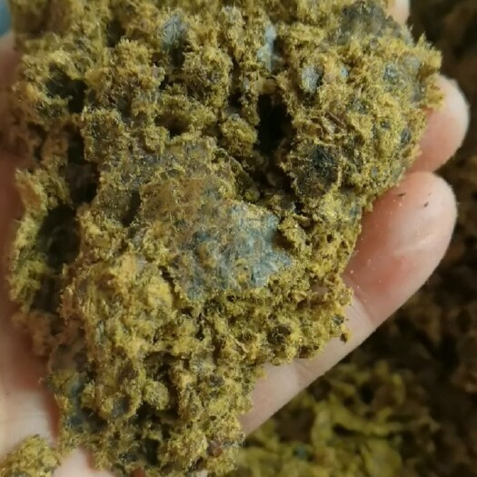 正定县厂家直销优质棉籽饼，诚信经营，全国发货