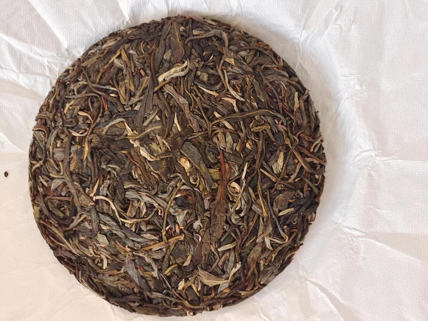 普洱茶生茶古树茶200克临沧茶区高山茶