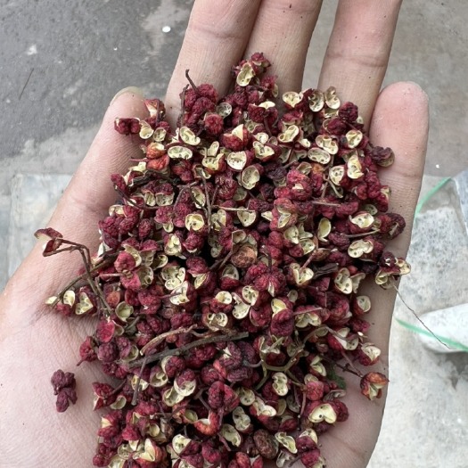 康县甘肃陇南武都红花椒，特货，中货，产地直销，