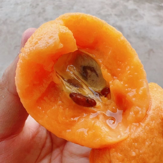 云阳现摘枇杷，肉多，皮薄