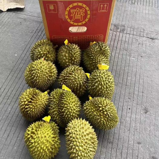 凭祥市金枕巴掌，越南干绕
