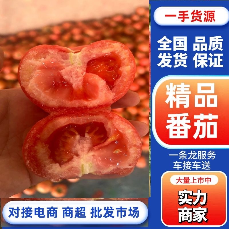 寿光市毛粉沙瓤西红柿，品质保证，诚信服务 超市 市场 电商