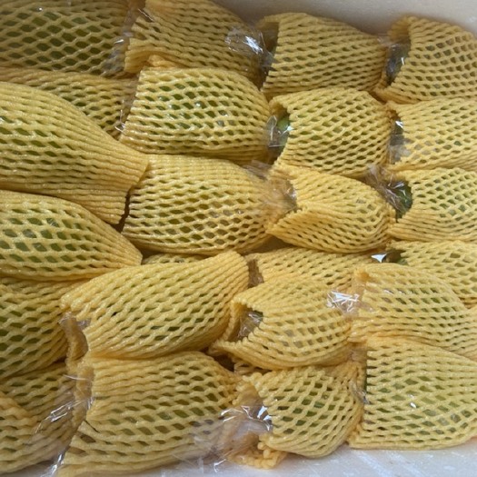 广州香蜜杨桃