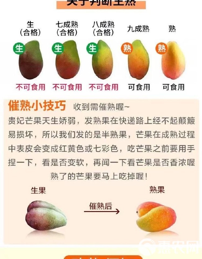贵妃芒果1/10斤批发新鲜水果整箱应当季热带树上熟红金龙整箱