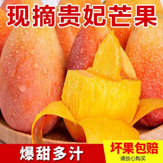 海南贵妃芒果新鲜当季热带水果红金龙芒果水果超甜小芒果