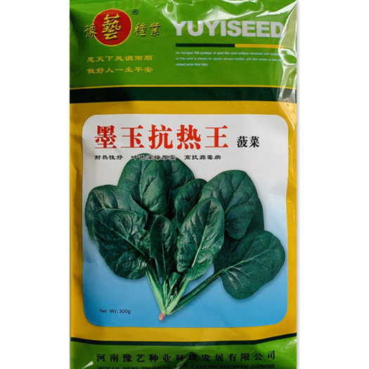 沭阳县豫芝种业墨玉抗热王菠菜种子春夏耐热耐抽薹抗病强深绿菠菜籽种孑