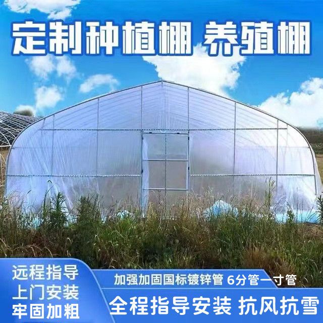 蔬菜种植大棚 椭圆管钢管棚 温室建设 棉被配件齐全