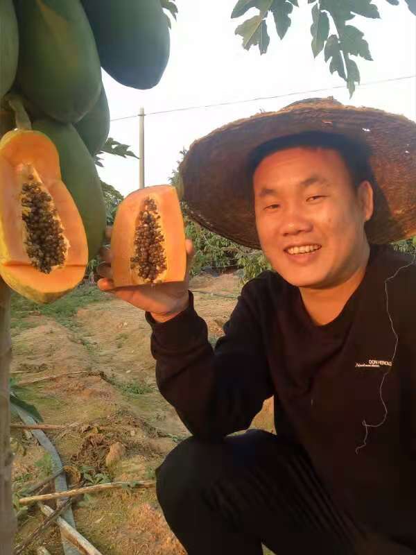 龍記木瓜場(chǎng)