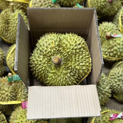 昆明泰国金枕8-10斤装