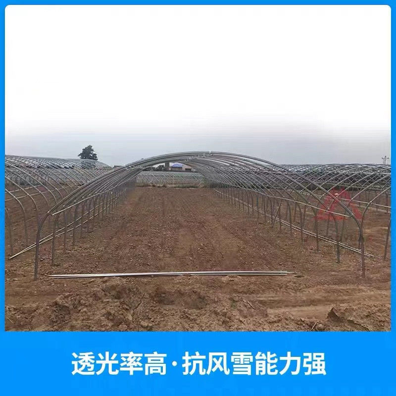 蔬菜种植大棚 椭圆管钢管棚 温室建设 棉被配件齐全