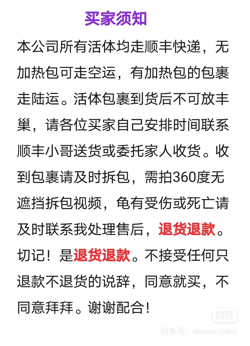 老石金钱  龟、煲汤龟、黄喉、南喉