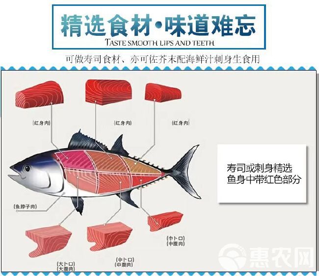 金枪鱼刺身新鲜冷冻大目金枪鱼肉商用生鱼片寿司专用日料黄鳍蓝鳍