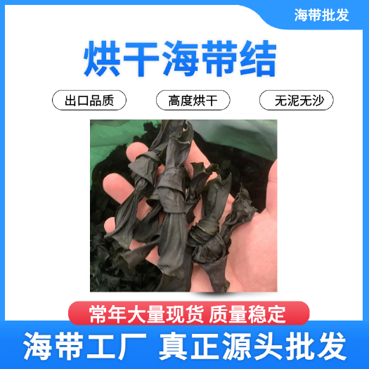 霞浦县厂家直供 烘干海带结批发霞浦海带批发海带扣