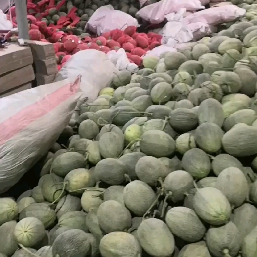 乐东县伽师瓜