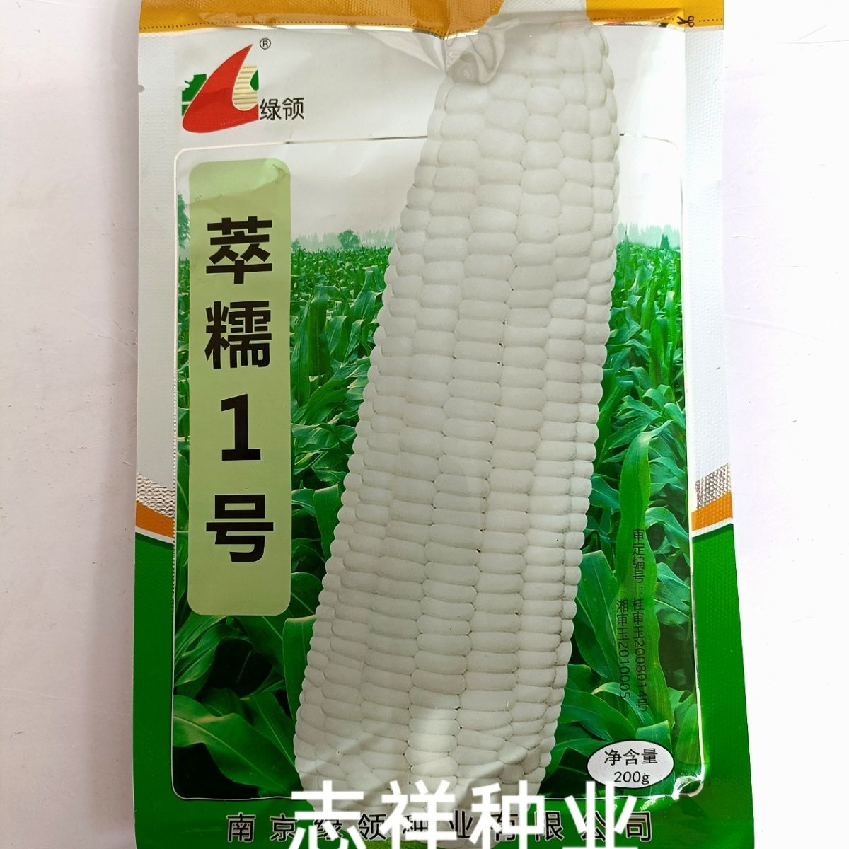 华容县绿领萃糯1号白糯玉米种子 高产抗病 鲜食大棒玉米粘玉米种籽