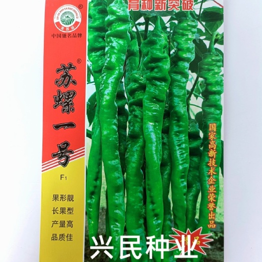 华容县苏润苏螺一号螺丝椒种子杂交高产辣味香浓耐低温春秋季辣椒种籽