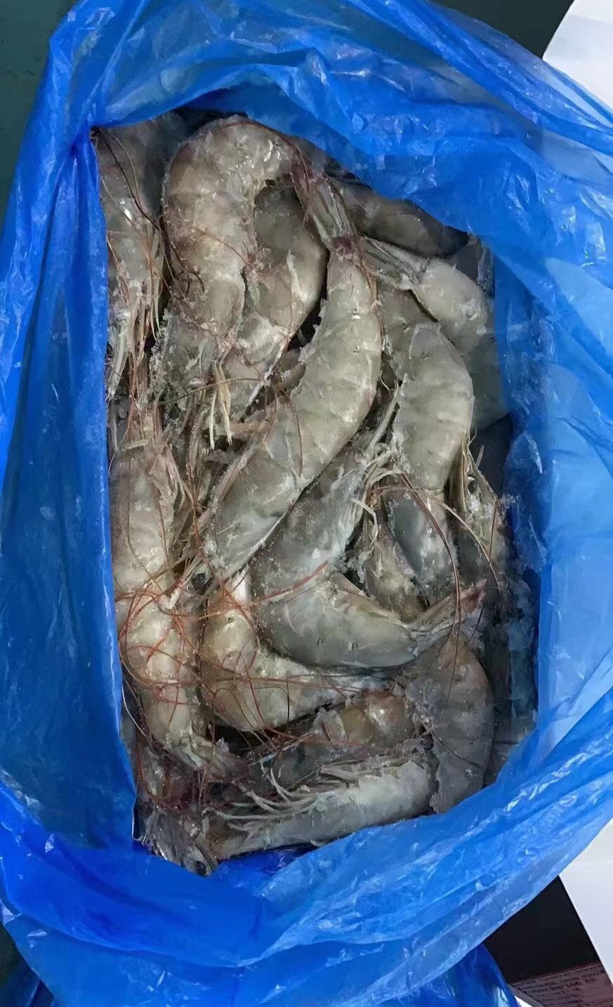 欧玛莎气冻，批发一件代发