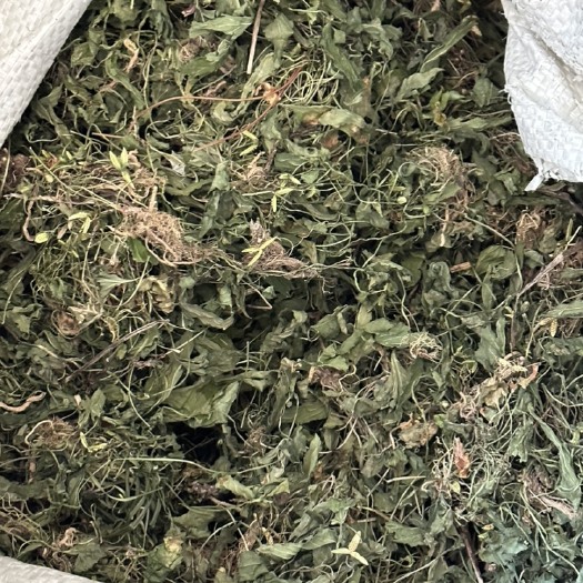 仙居县紫花地丁