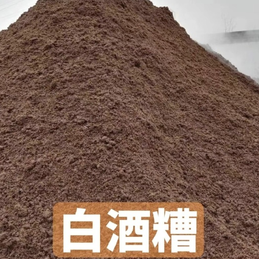 正定县白酒糟