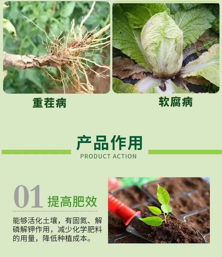 枯草芽孢杆菌  400亿枯草 调土生根改土 黄叶根腐灌根