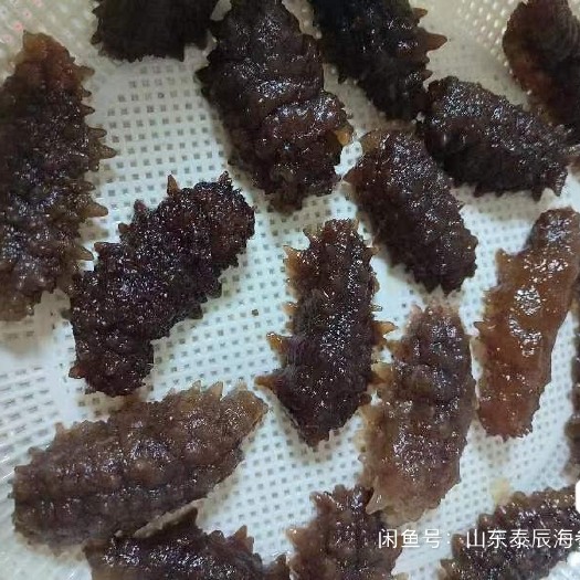 滨州电商刺参 可以当大连刺参卖的刺参 即食海参