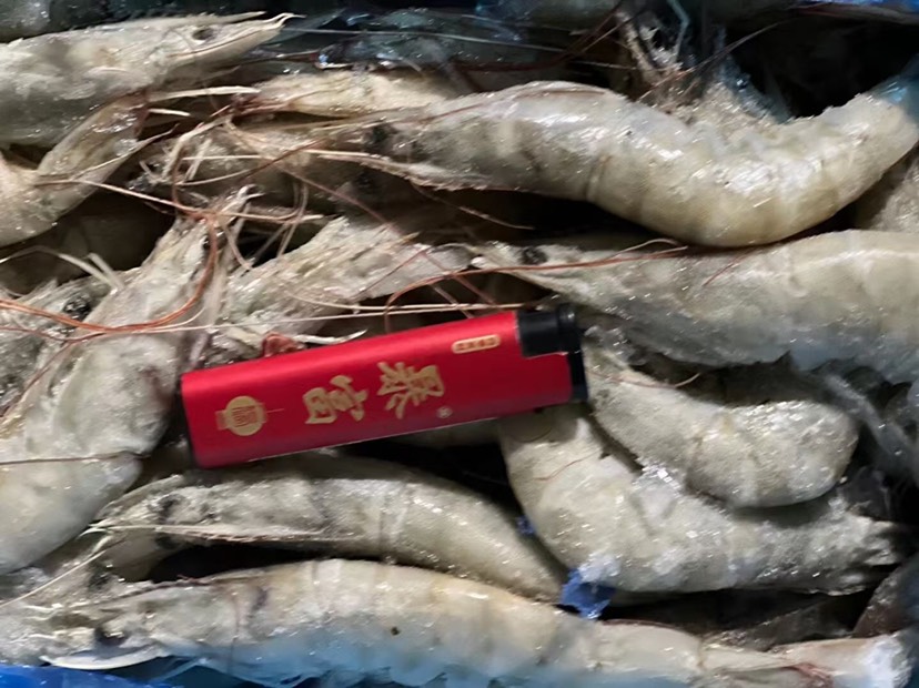 欧玛莎气冻，批发一件代发