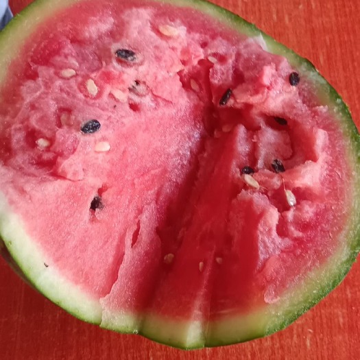 阜城县漫河甜王西瓜